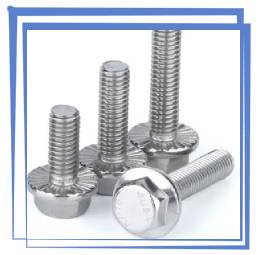 Stainless Steel Flange Bolt A4-70 Stainless Steel Flange Bolt A4-70